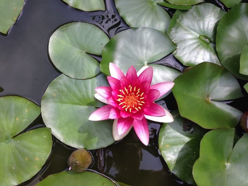 Im Gespräch: Geliebt, geborgen, glücklich….